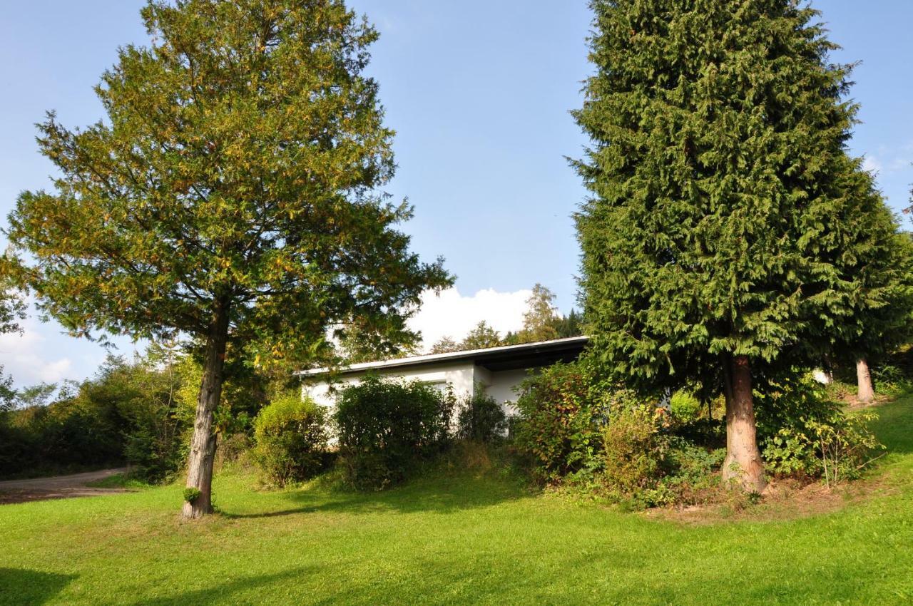 Feriendorf Am Hundsrueck 플로흐 외부 사진